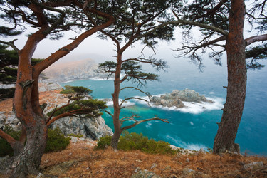 Similar image 465282