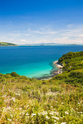 Similar image 465288