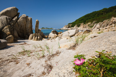 Similar image 465290