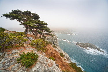 Similar image 465303