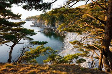 Similar image 465306