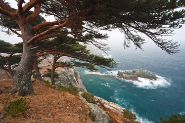 Similar image 465307