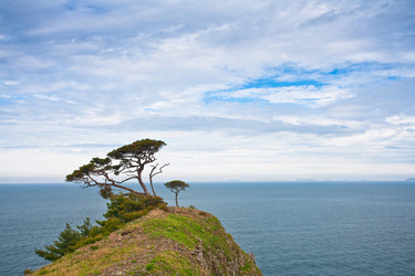 Similar image 465312