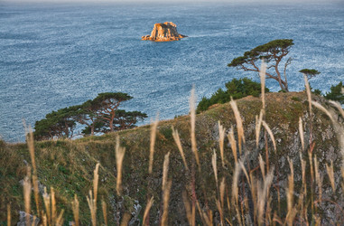 Similar image 465317