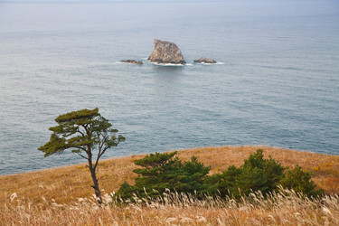 Similar image 465318