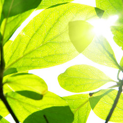 Similar image 465330