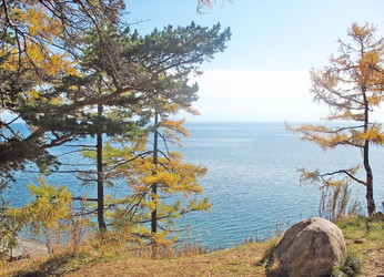 Similar image 465372