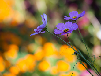 Similar image 465512