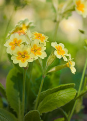 Similar image 465522