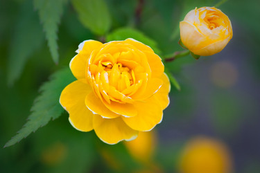 Similar image 465539