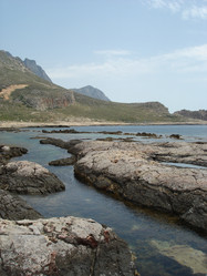 Similar image 465565