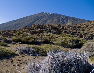 Similar image 465568