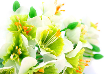 Similar image 465579