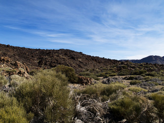 Similar image 465580