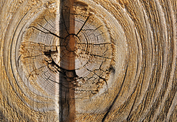 Similar image 465589