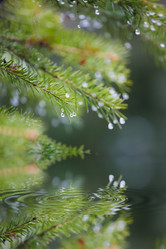 Similar image 465618