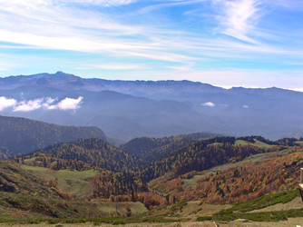 Similar image 465631