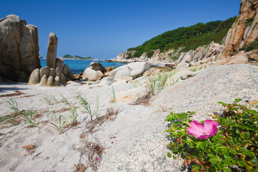 Similar image 465680