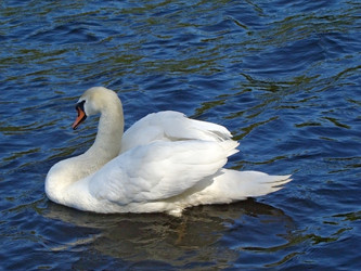 Similar image 465773