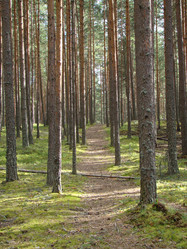 Similar image 465776