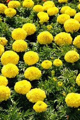 Similar image 465943