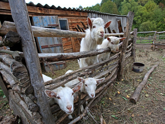 Similar image 465977