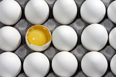 Similar image 465982