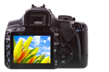 Similar image 466044