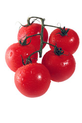 Similar image 466047