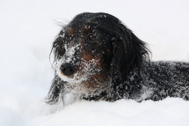 Similar image 466073