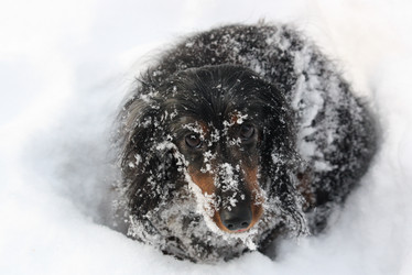 Similar image 466076