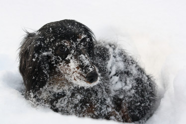 Similar image 466079