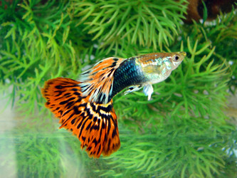 Similar image 466108