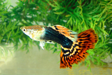 Similar image 466111