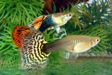 Similar image 466112