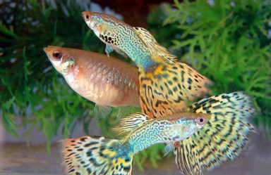 Similar image 466114