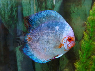 Similar image 466118