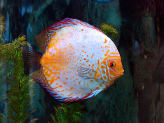 Similar image 466120