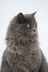 Similar image 466232