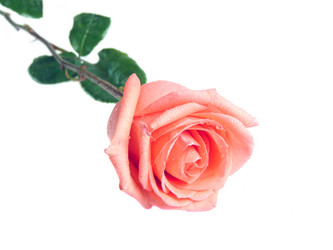 Similar image 466238