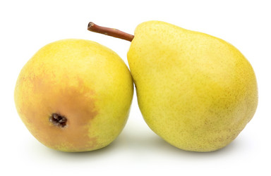 Similar image 466259