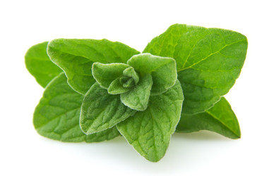 Similar image 466285