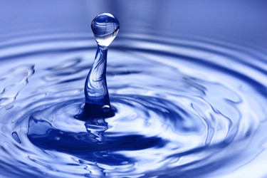 Similar image 466433