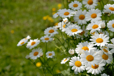 Similar image 466501