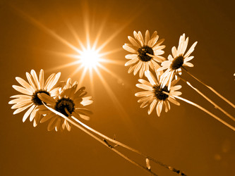 Similar image 466502