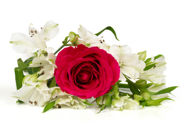 Similar image 466515