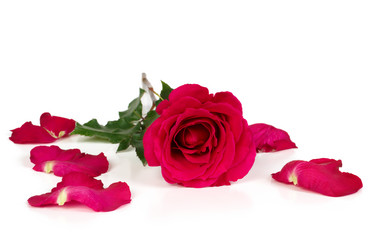 Similar image 466516