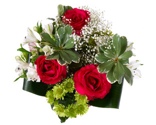 Similar image 466522