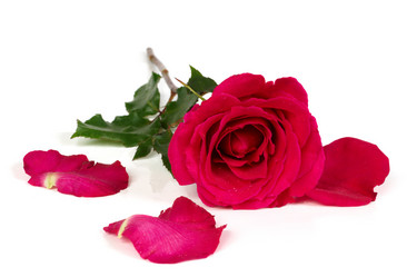 Similar image 466525