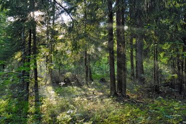 Similar image 466526